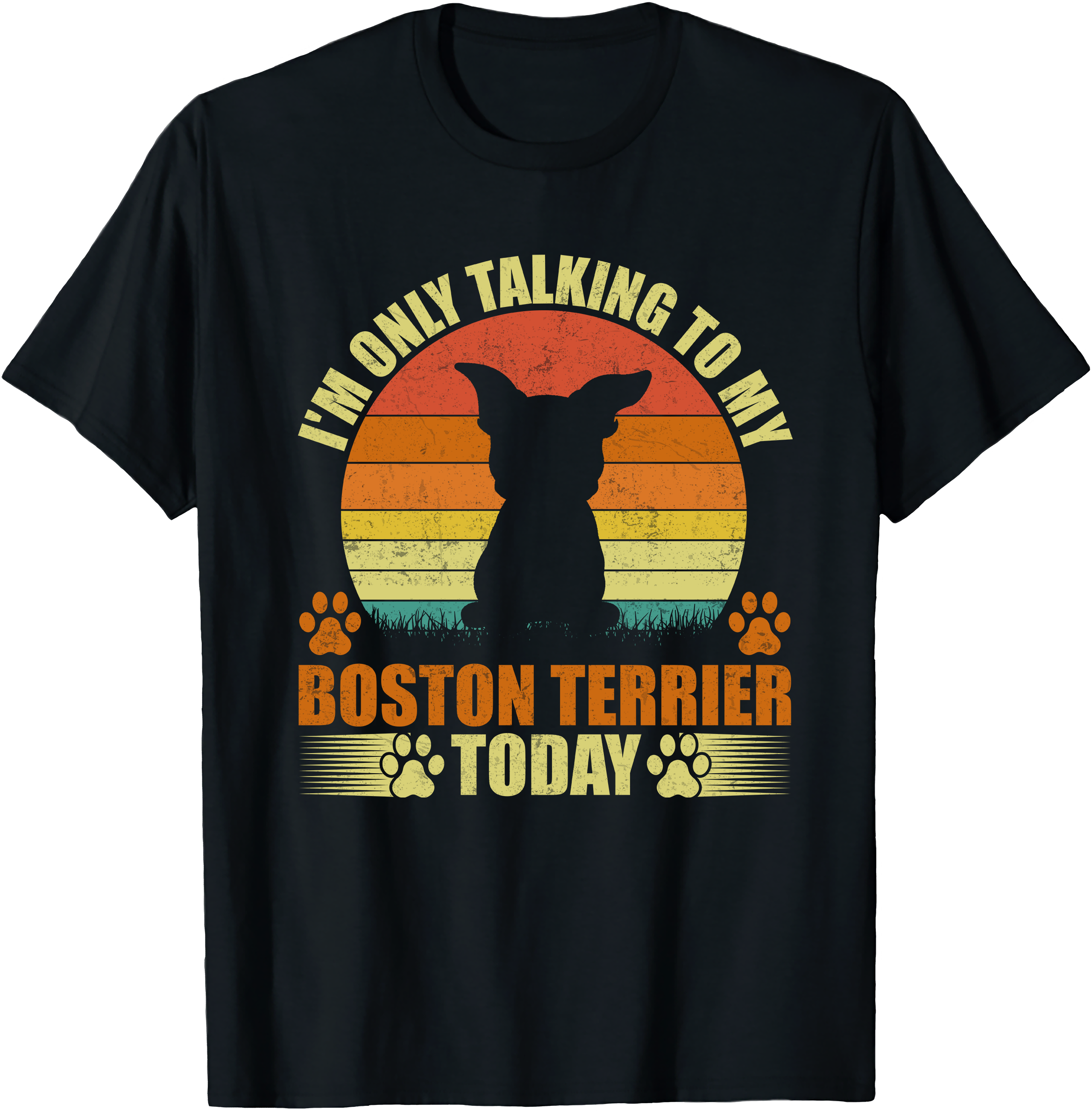 I’m Only Talking to My Boston Terrier Today – Funny Dog Lover Tee